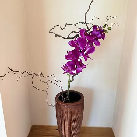Апартаменты Crown Luxury 2br In Downtown *
