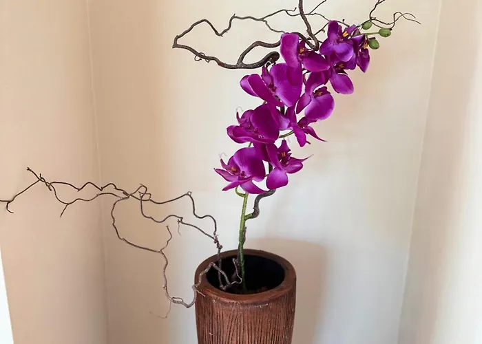 Apartment Crown Luxury 2br In Downtown *